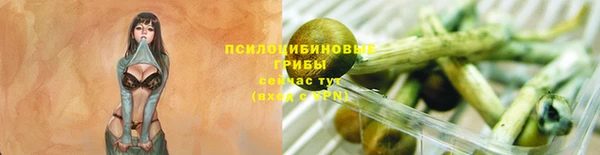 ПСИЛОЦИБИНОВЫЕ ГРИБЫ Белая Холуница
