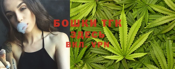 тгк Няндома