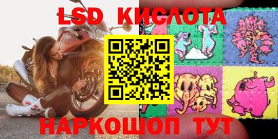 прущие грибы Будённовск