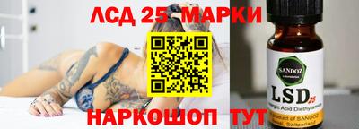 прущие грибы Будённовск