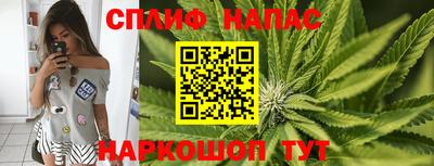 стаф Гусиноозёрск