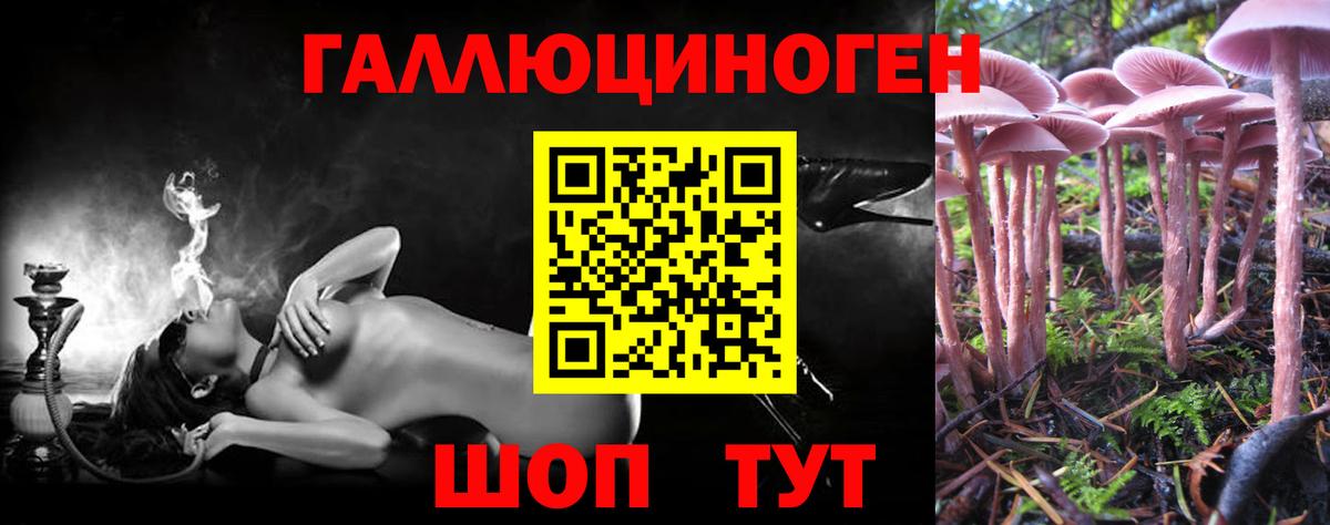 Галлюциногенные грибы прущие грибы  Кстово 